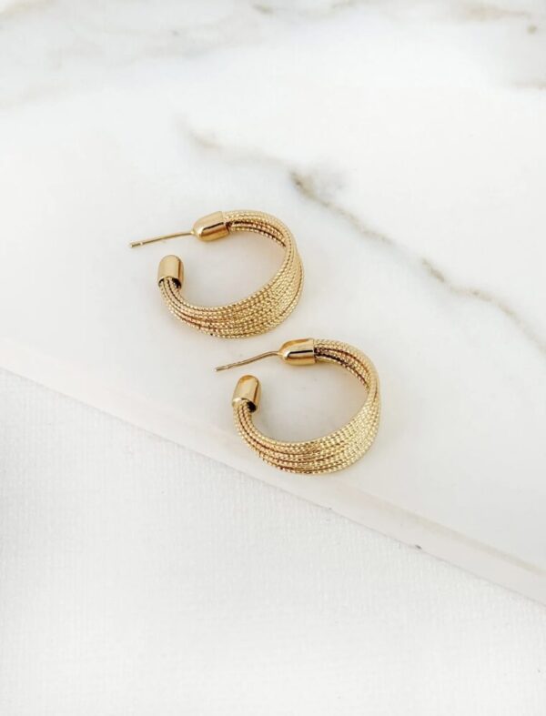 Envy 4356 Gold textured hoop earring