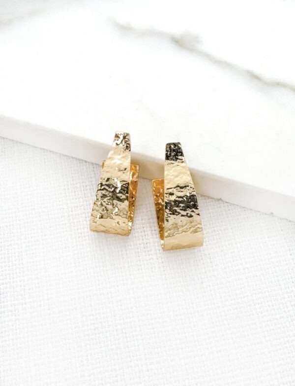 Envy 4410 Textured Earrings in Gold & Silver