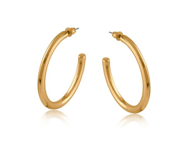 3252 Cassandra Oval Tube Hoop Earrings in Gold & Silver - Image 2