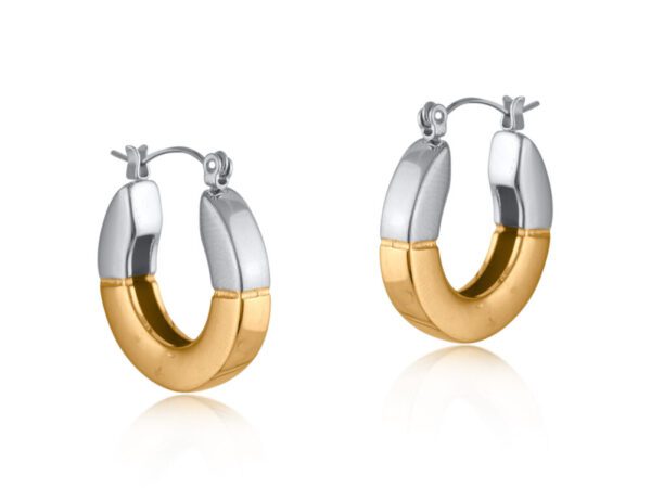 3445 Patricia Two Tone Stainless Steel Earrings